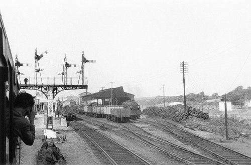 Wadebridge Station in 1961